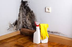 Environmental Consulting for Mold Prevention in Girardville, PA